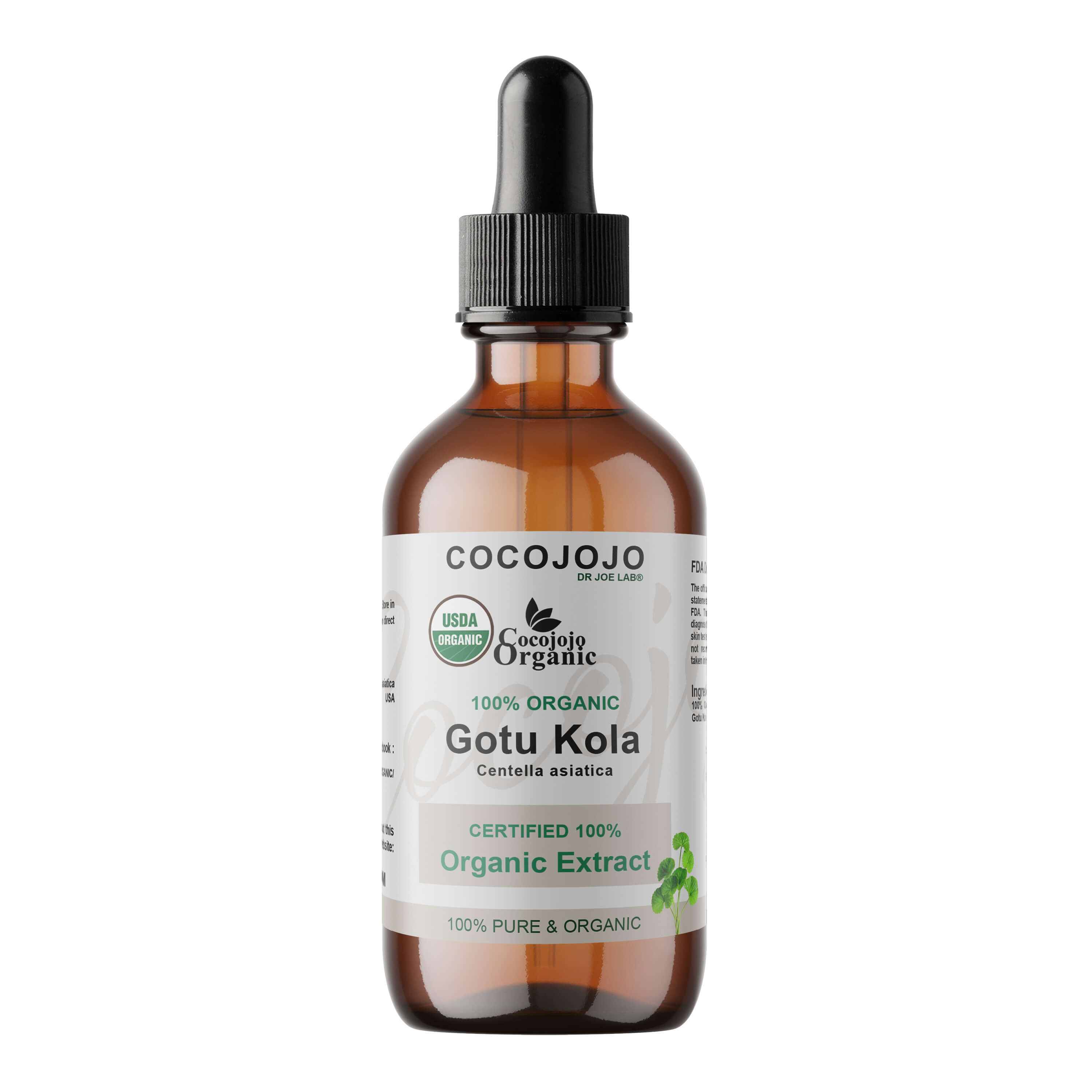 Gotu Kola Extract – Organic | CocoJojo