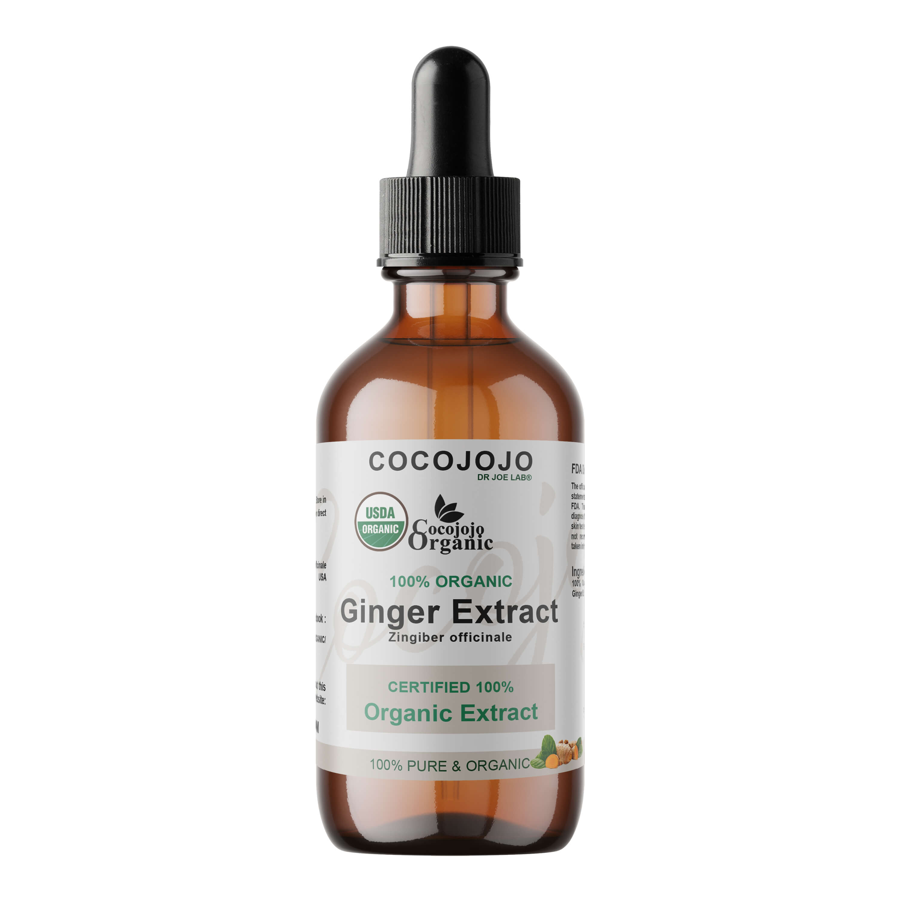 Ginger Extract – Organic | CocoJojo